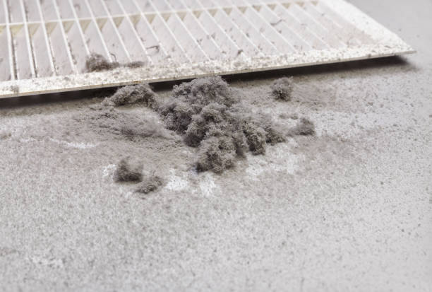 Best Air Quality Test  in Fowlerville, MI