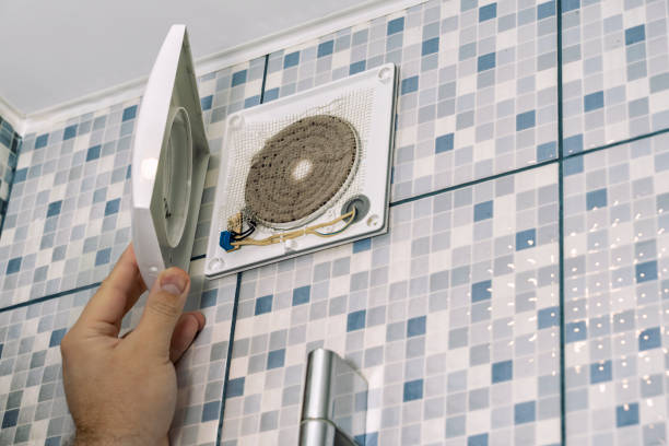 Best Local Air Duct Cleaning Services  in Fowlerville, MI
