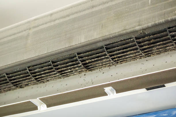 Best Home Air Vent Cleaning  in Fowlerville, MI