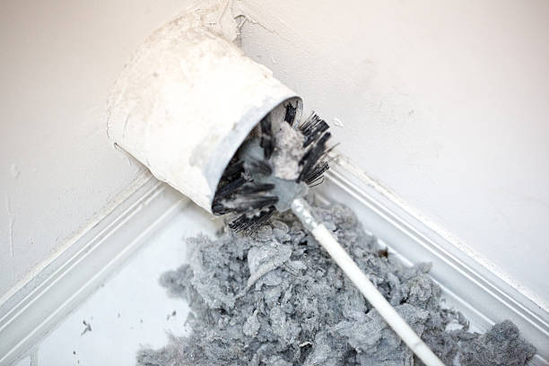 Air Duct Mold Removal in Fowlerville, MI