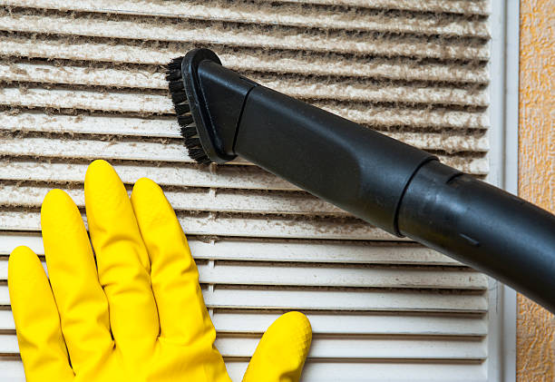 Best Emergency Air Duct Cleaning  in Fowlerville, MI